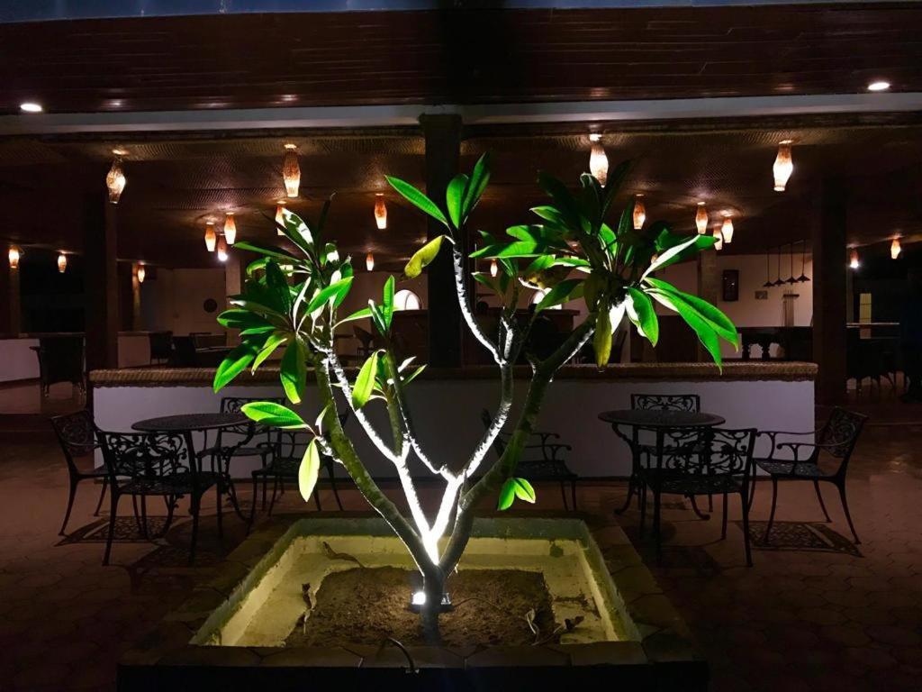 Peacock Beach Hotel هامبانتوتا المظهر الخارجي الصورة